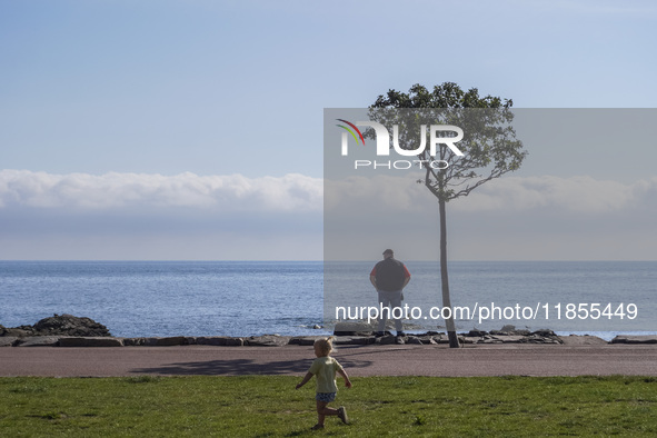 A man looks at the sea under the only tree in the area in Gudhjem, Bornholm Island, Denmark, on August 6, 2024. 