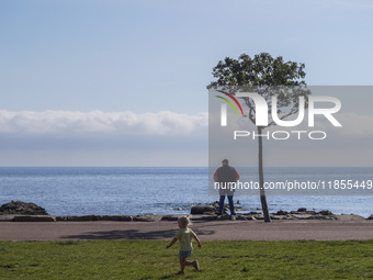 A man looks at the sea under the only tree in the area in Gudhjem, Bornholm Island, Denmark, on August 6, 2024. (