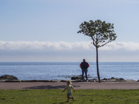 A man looks at the sea under the only tree in the area in Gudhjem, Bornholm Island, Denmark, on August 6, 2024. (