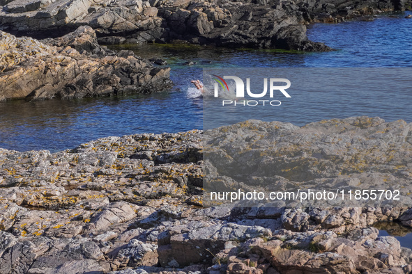 A man takes a dip in the cold waters of the Baltic Sea, jumping from the rocky coast in Gudhjem, Bornholm Island, Denmark, on August 6, 2024...