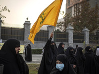 A veiled Iranian woman waves a flag of Lebanon's Hezbollah while participating in a rally to support the Hijab bill outside the Iranian Parl...