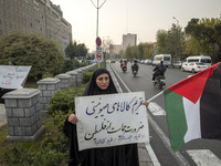 A veiled Iranian woman holds a Palestinian flag and a placard with Persian script that reads, ''Boycotting Zionist goods is a necessity to s...