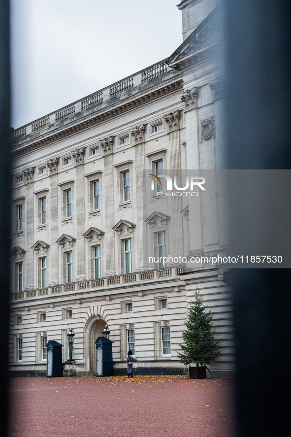 A royal guard stands at his post outside Buckingham Palace, in London, United Kingdom, on December 7, 2024. 