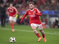 Kerem Akturkoglu of SL Benfica is in action during the UEFA Champions League match between SL Benfica and Bologna FC 1909 at Estadio Da Luz...