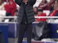 Bruno Lage, Head Coach of SL Benfica, reacts during the UEFA Champions League match between SL Benfica and Bologna FC 1909 at Estadio Da Luz...