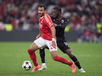 Samuel Iling-Junior of Bologna Football Club 1909 competes for the ball with Vangelis Pavlidis of SL Benfica during the UEFA Champions Leagu...