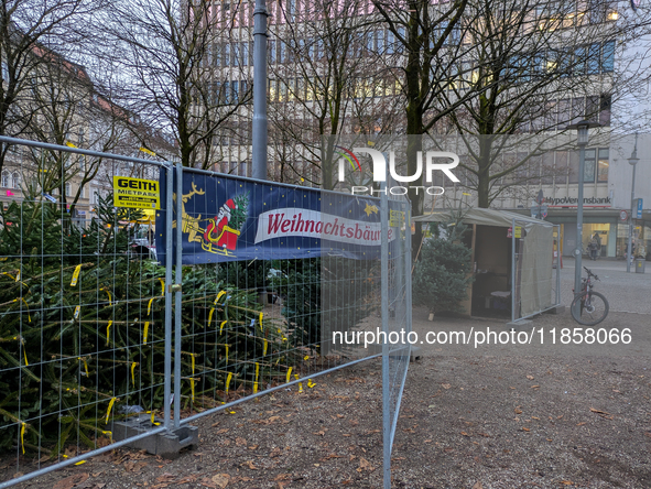 Seasonal tree sales take place in a bustling Bavarian square. In Munich, Bavaria, Germany, on December 11, 2024, a small Christmas tree mark...