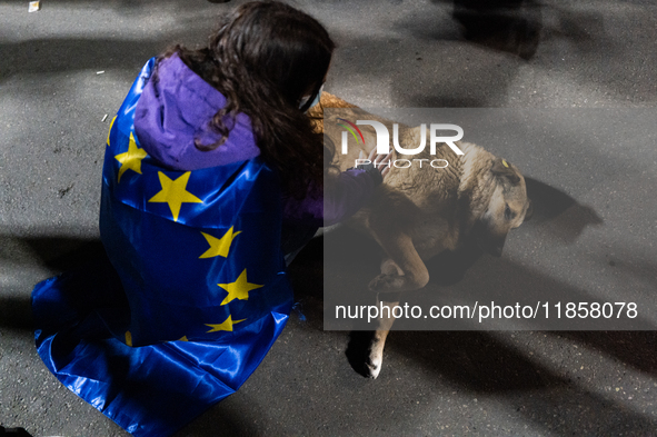 A demonstrator wearing a European flag pets a puppy during a protest against the Government's postponement of European Union accession talks...