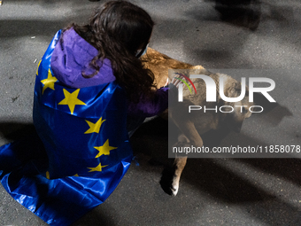 A demonstrator wearing a European flag pets a puppy during a protest against the Government's postponement of European Union accession talks...