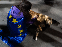 A demonstrator wearing a European flag pets a puppy during a protest against the Government's postponement of European Union accession talks...