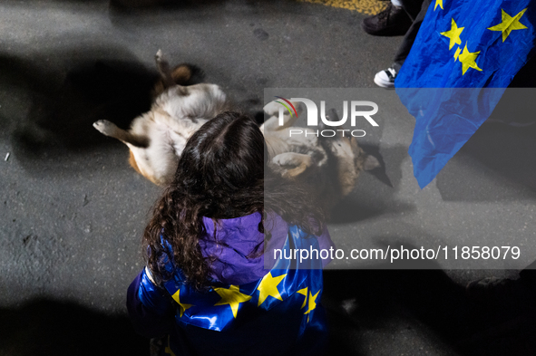 A demonstrator wearing a European flag pets a puppy during a protest against the Government's postponement of European Union accession talks...