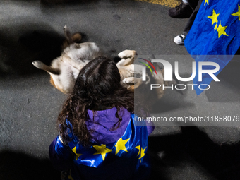 A demonstrator wearing a European flag pets a puppy during a protest against the Government's postponement of European Union accession talks...