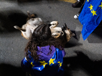 A demonstrator wearing a European flag pets a puppy during a protest against the Government's postponement of European Union accession talks...