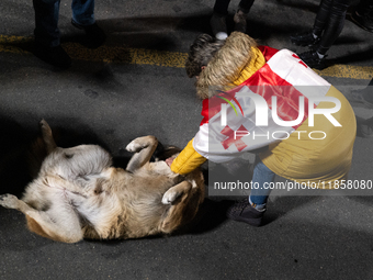 A demonstrator wearing a Georgian flag pets a puppy during a protest against the government's postponement of European Union accession talks...