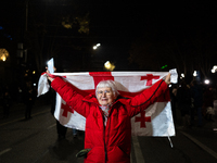 A Georgian pro-Europe demonstrator carries a Georgian flag during a protest against the Government's postponement of European Union accessio...