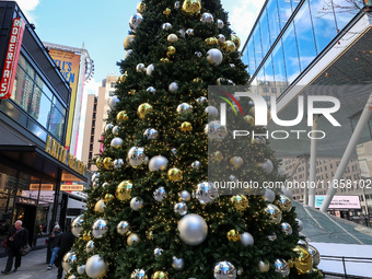 The Christmas tree stands in the plaza outside Madison Square Garden and Penn Station in New York, N.Y., on December 6, 2024. (