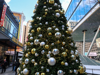 The Christmas tree stands in the plaza outside Madison Square Garden and Penn Station in New York, N.Y., on December 6, 2024. (