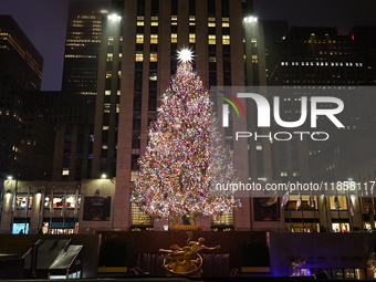 The Rockefeller Christmas Center Tree is in New York, N.Y., on December 10, 2024. (