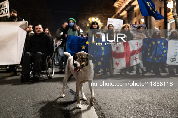 Georgia pro-Europe demonstrators hold Georgian and European flags with a dog in front during a protest against the government's postponement...