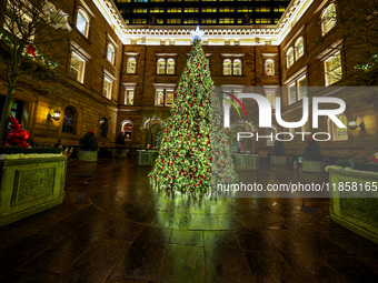 The Christmas tree stands in the courtyard of the Lotte New York Palace in New York, N.Y., on December 10, 2024. (