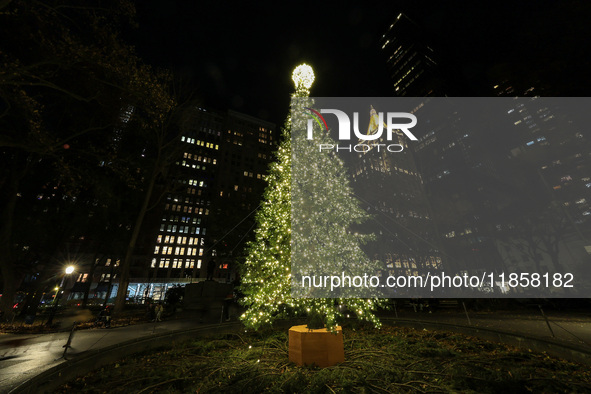 The Christmas tree is in Madison Square Park in New York, N.Y., on December 8, 2024. 