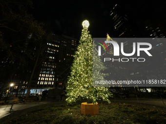 The Christmas tree is in Madison Square Park in New York, N.Y., on December 8, 2024. (