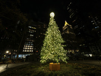 The Christmas tree is in Madison Square Park in New York, N.Y., on December 8, 2024. (