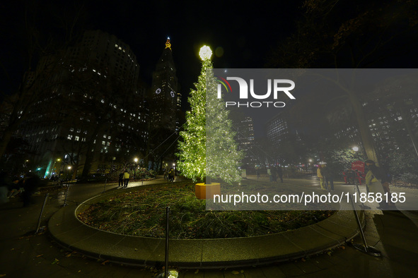 The Christmas tree is in Madison Square Park in New York, N.Y., on December 8, 2024. 