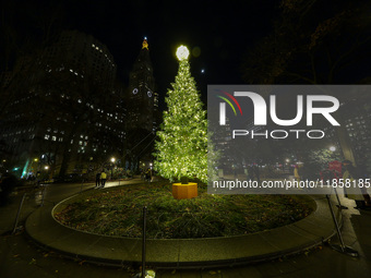 The Christmas tree is in Madison Square Park in New York, N.Y., on December 8, 2024. (