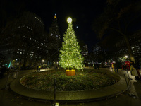 The Christmas tree is in Madison Square Park in New York, N.Y., on December 8, 2024. (