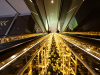 Christmas decorations are on display at the Hudson Yards Mall in New York, N.Y., on December 8, 2024. (