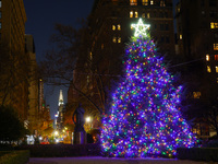 The Christmas tree in Gramercy Park with the Chrysler Building in the background is in New York, N.Y., on December 8, 2024. (