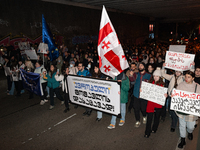 Georgia pro-Europe demonstrators hold Georgian and European flags during a protest against the Government's postponement of European Union a...