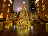 The Christmas tree stands in the courtyard of the Lotte New York Palace in New York, N.Y., on December 10, 2024. (