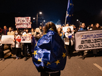 A pro-Europe demonstrator in Georgia holds a European flag during a protest against the government's postponement of European Union accessio...