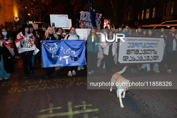 A dog walks in front of Georgia pro-Europe demonstrators who hold Georgian and European flags during a protest against the government's post...