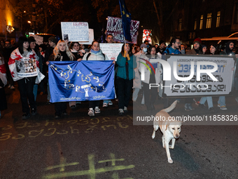 A dog walks in front of Georgia pro-Europe demonstrators who hold Georgian and European flags during a protest against the government's post...