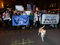 A dog walks in front of Georgia pro-Europe demonstrators who hold Georgian and European flags during a protest against the government's post...