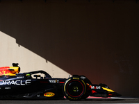 Isack Hadjar during the Formula 1 post-season testing at Yas Marina Cicuit in Abu Dhabi, United Arab Emirates on December 10, 2024. (