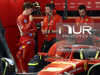 Arthur Leclerc during the Formula 1 post-season testing at Yas Marina Cicuit in Abu Dhabi, United Arab Emirates on December 10, 2024. (