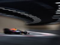 Isack Hadjar during the Formula 1 post-season testing at Yas Marina Cicuit in Abu Dhabi, United Arab Emirates on December 10, 2024. (