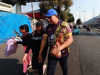 Thousands of Catholic pilgrims continue their journey to the Basilica of Guadalupe for the religious celebration of the Virgin of Guadalupe...