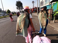 Thousands of Catholic pilgrims continue their journey to the Basilica of Guadalupe for the religious celebration of the Virgin of Guadalupe...