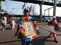 Thousands of Catholic pilgrims continue their journey to the Basilica of Guadalupe for the religious celebration of the Virgin of Guadalupe...