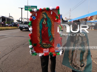 Thousands of Catholic pilgrims continue their journey to the Basilica of Guadalupe for the religious celebration of the Virgin of Guadalupe...