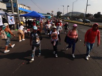 Thousands of Catholic pilgrims continue their journey to the Basilica of Guadalupe for the religious celebration of the Virgin of Guadalupe...