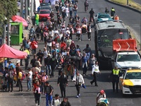 Thousands of Catholic pilgrims continue their journey to the Basilica of Guadalupe for the religious celebration of the Virgin of Guadalupe...