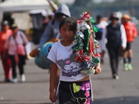 Thousands of Catholic pilgrims continue their journey to the Basilica of Guadalupe for the religious celebration of the Virgin of Guadalupe...