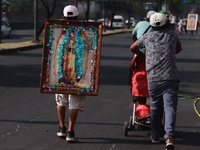 Thousands of Catholic pilgrims continue their journey to the Basilica of Guadalupe for the religious celebration of the Virgin of Guadalupe...