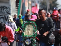 Thousands of Catholic pilgrims continue their journey to the Basilica of Guadalupe for the religious celebration of the Virgin of Guadalupe...